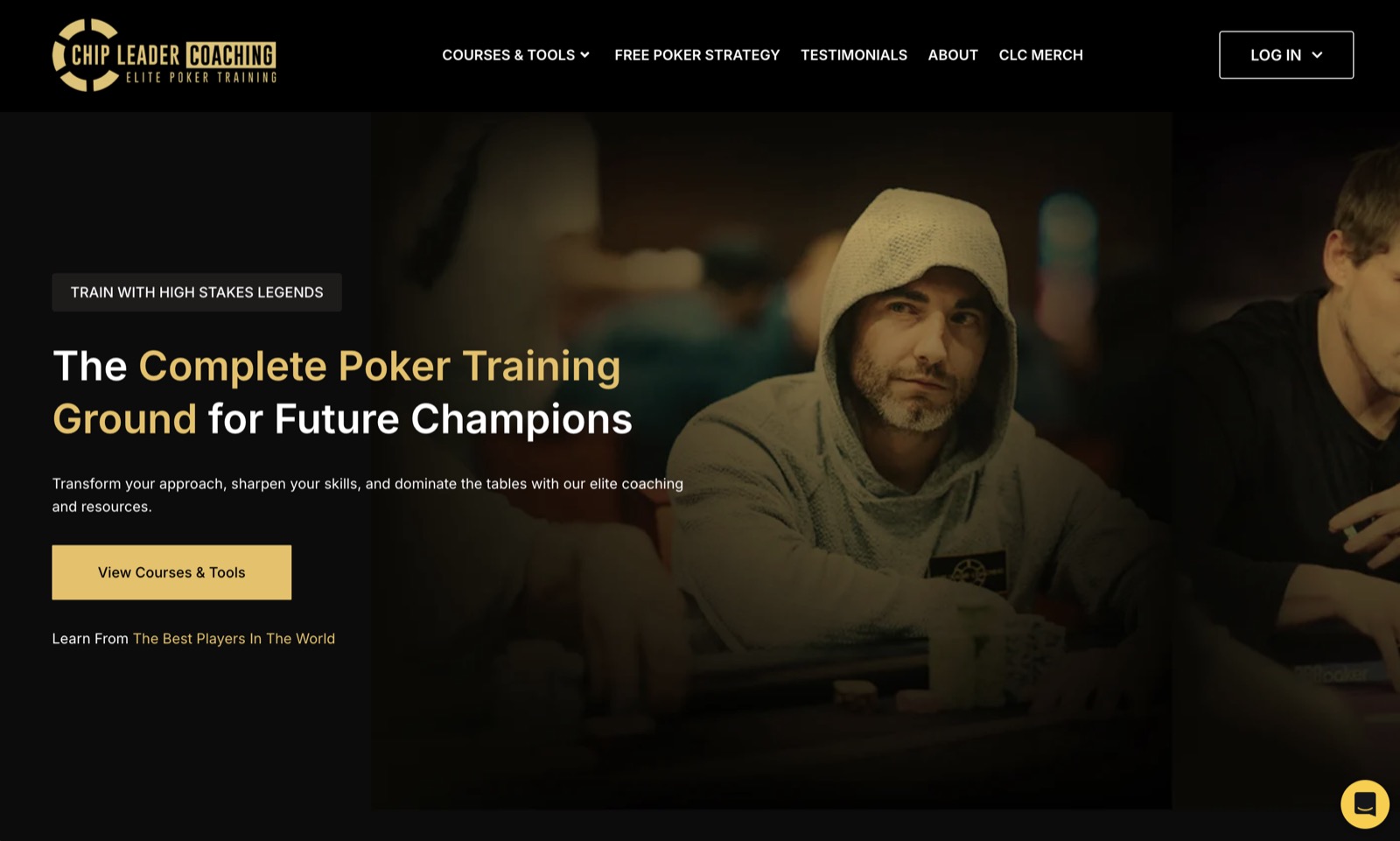 Chip Leader Coaching case study